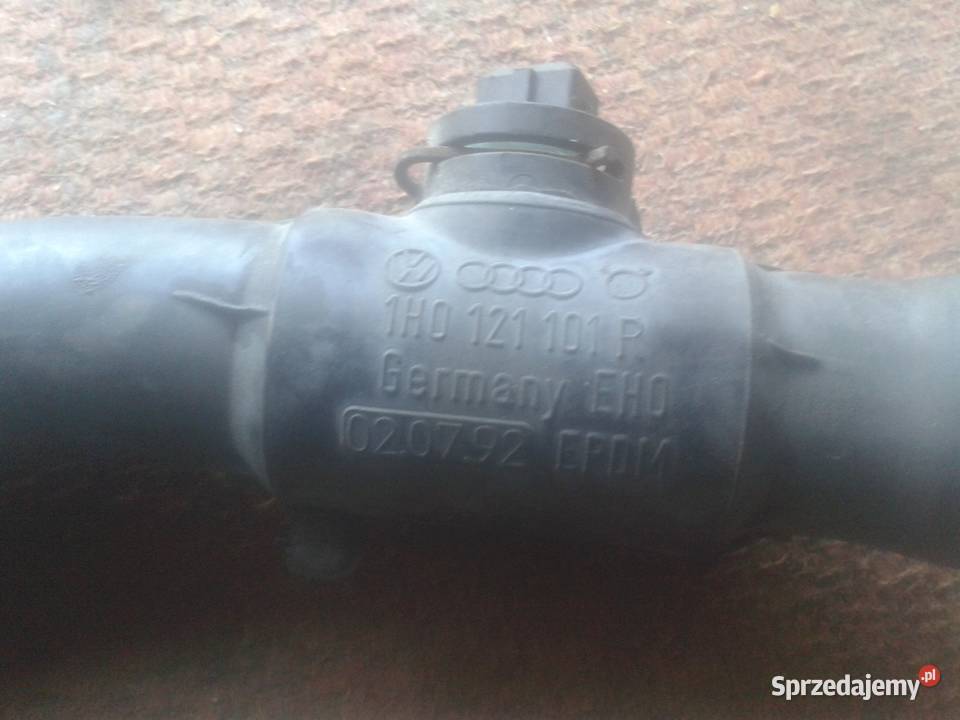 WĄŻ CHODNICY GOLFAUDI TANIO OKAZJA Ozorków