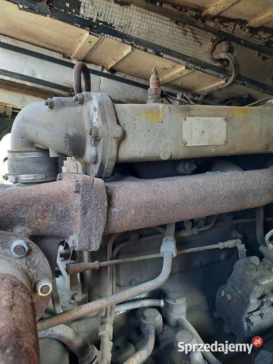 Jelcz P422 Specjalny Szydłowiec sprzedam