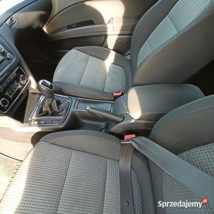 Bez dwumasu stan świętokrzyskie Sielec