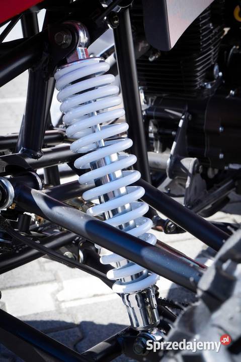 Quad ATV MAD 250cc MANUAL LED HAMULCE TARCZOWE Rok produkcji 2025 Ząbkowice Śląskie sprzedam