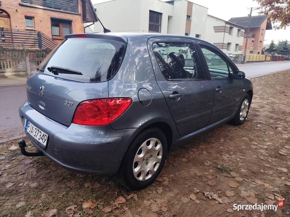 Peugeot 307 16 2006