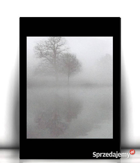 biało czarny plakat A4 Rzeszów sprzedam