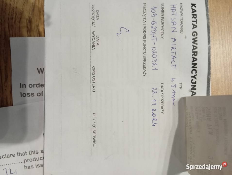 Wiatrówka łamana Święta Katarzyna