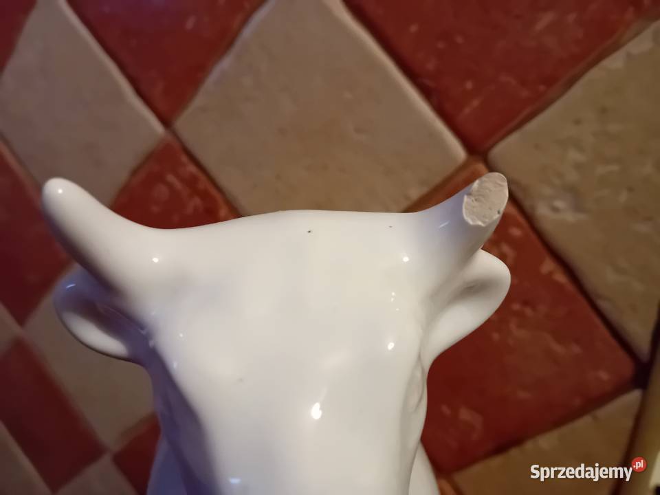 Mlecznik krówka duży Dębica sprzedam