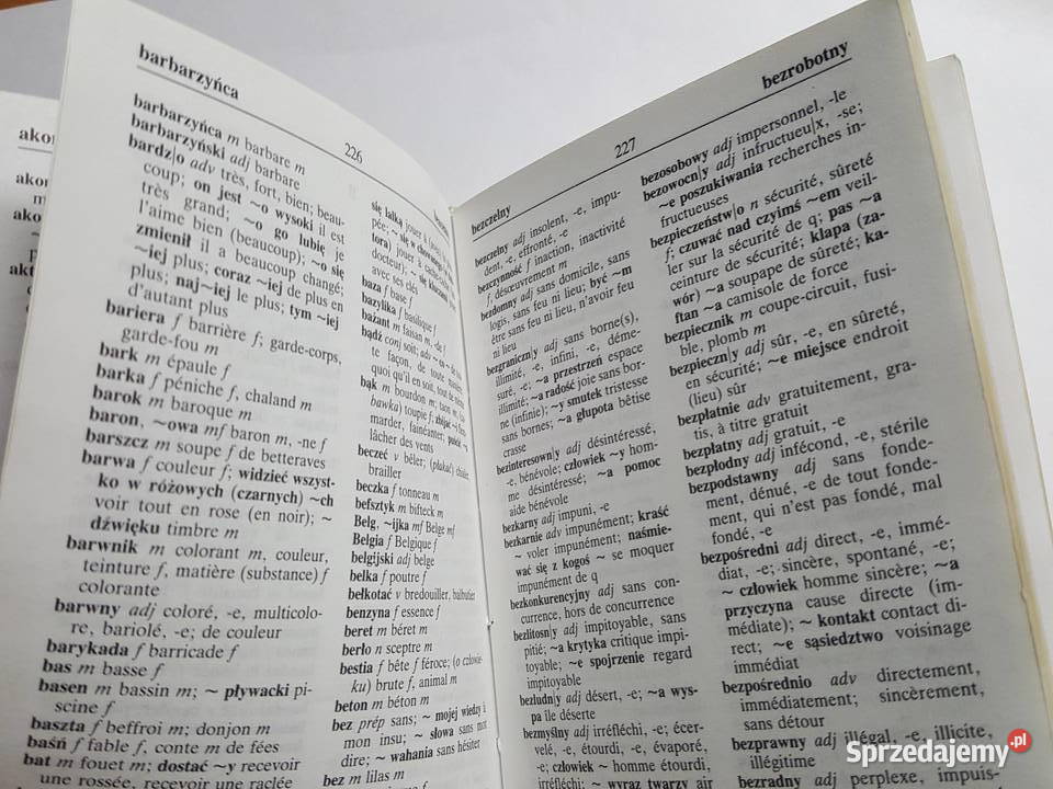 NOWY SŁOWNIK francuskopolski polskofrancuski francuski