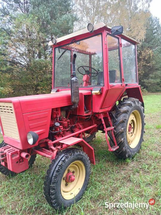 Władimirec Kaszewice