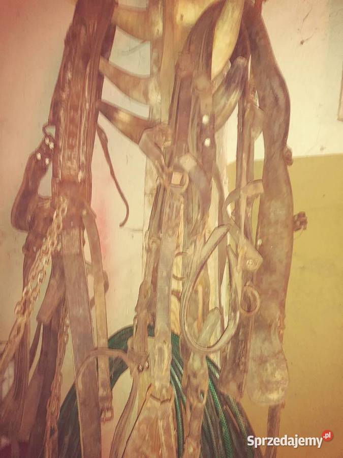 Uprząż musztug kantar lejce sprzedam