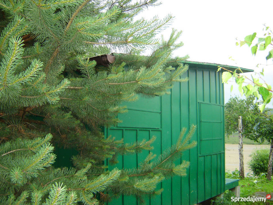 Sprzedam domek Jeziorem Rożnowskim Nowy Sącz