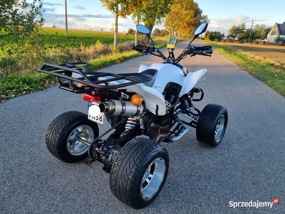 Quad Atv EGL LYDA 250cc 41r Ciecz Zarejestrowany Kruszwica