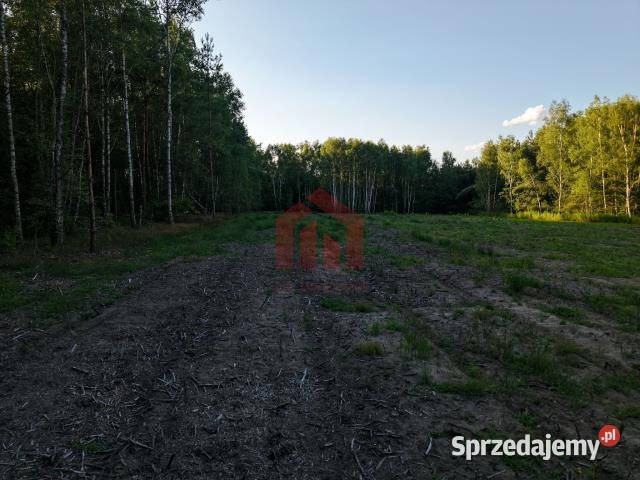 Działka 900m2 Czarna Sędziszowska 31m