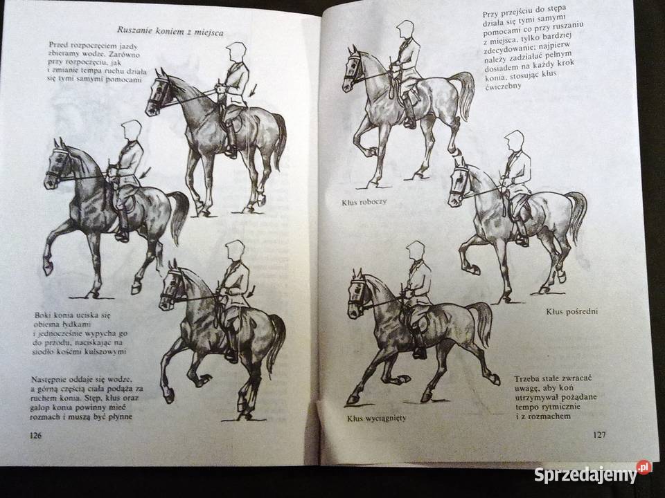 Jeździectwo pakiet książek Legionowo sprzedam