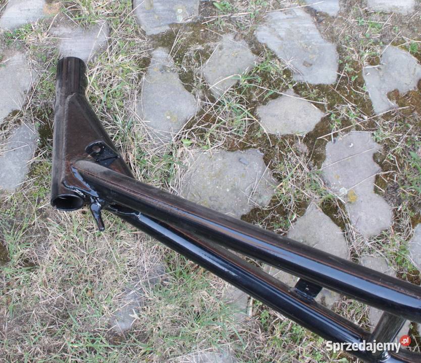 WFM OSA RAMA opolskie Głubczyce sprzedam