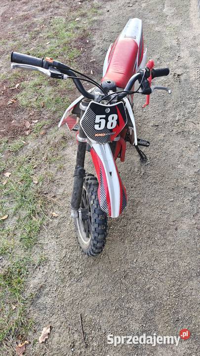 Cross mini pocket bike Kxd pro 49cc automat KXD