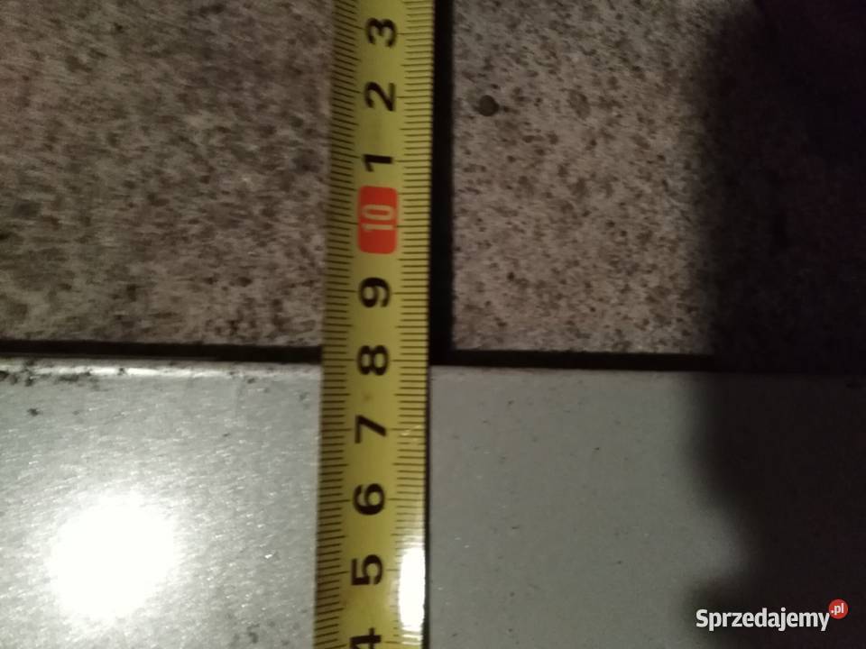 Płaskowniki Poddębice