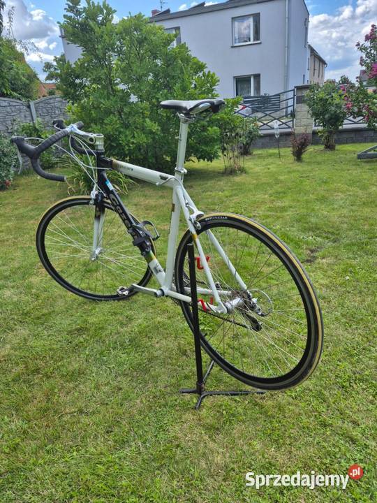 Rower szosowy Gazelle Primavera 28 Szosa Klasyk Gostyń