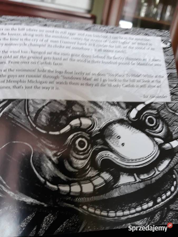 Z archiwalnych wykofpalisk SUM ŻYJE CATFISH Rzeszów