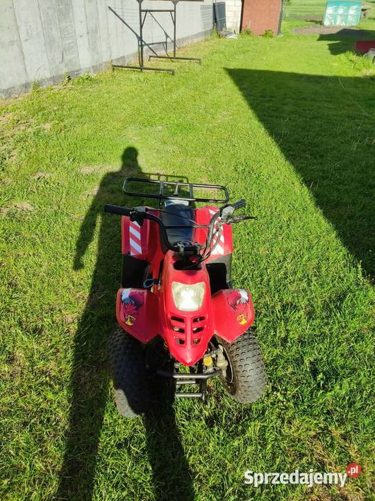 Quad 110 big food automat sprzedam