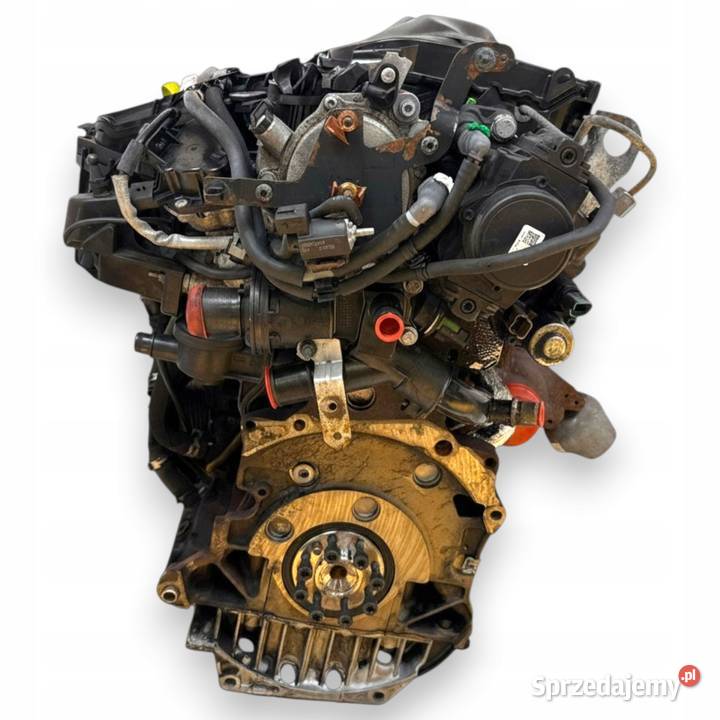 SILNIK UFDA Ford Focus III MK3 C C II 20 TDCI Chełm