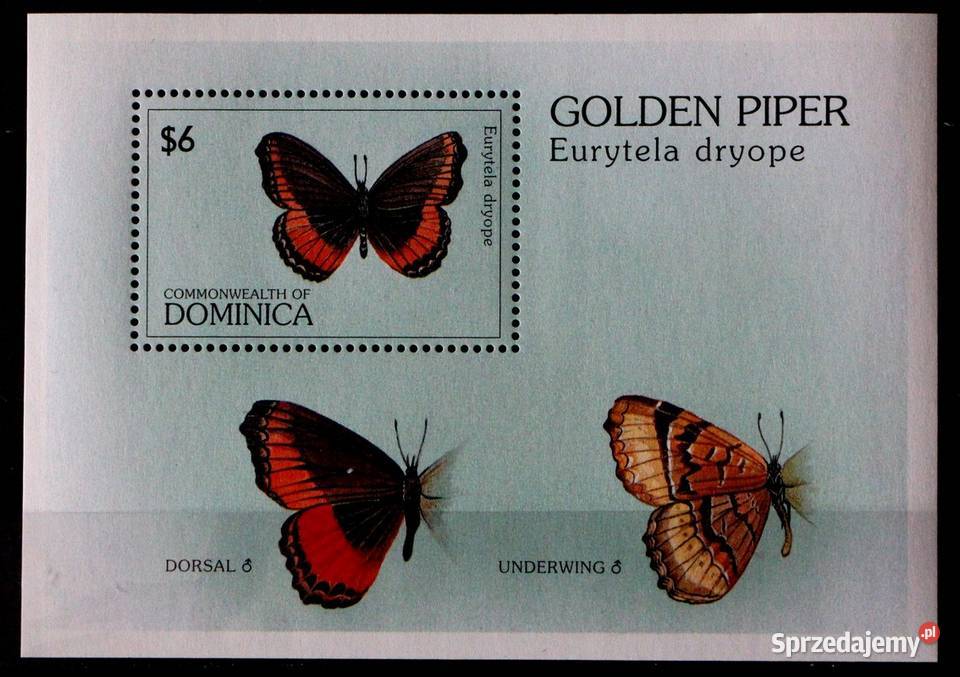 Dominica motyle Filatelistyka Oborniki