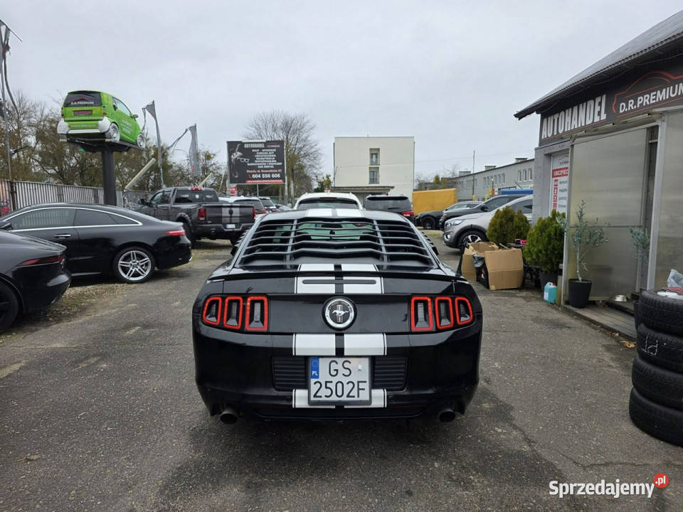 Ford Mustang 37 Benzyna V6 305 Manual Led Xenon kurtyny powietrzne