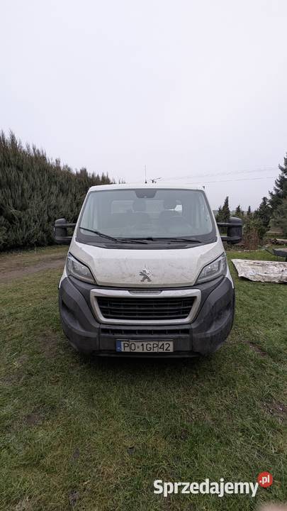 Syndyk sprzeda Peugeot BOXER z 2018 wielkopolskie Luboń
