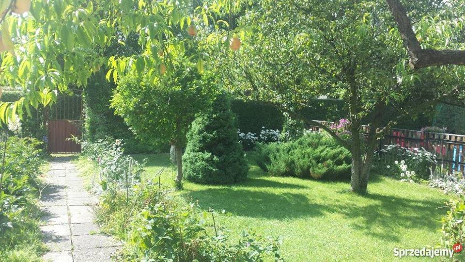 ogródek działkowy dobra