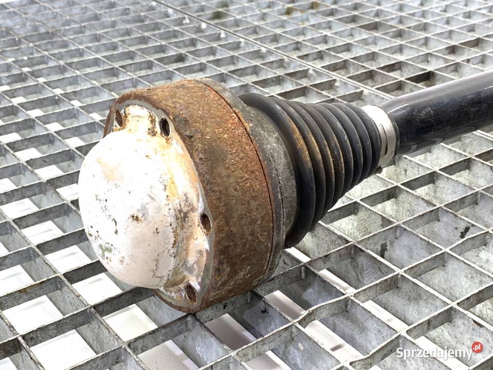 PÓŁOŚ LEWY TYŁ AUDI A4 B9 8W0501203D 20 190 osobowe podkarpackie