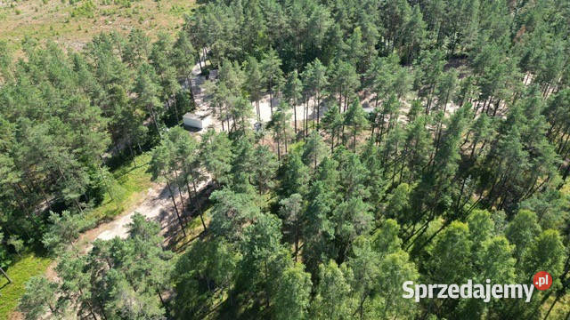 Działki budowlane z MPZP Skorzewo