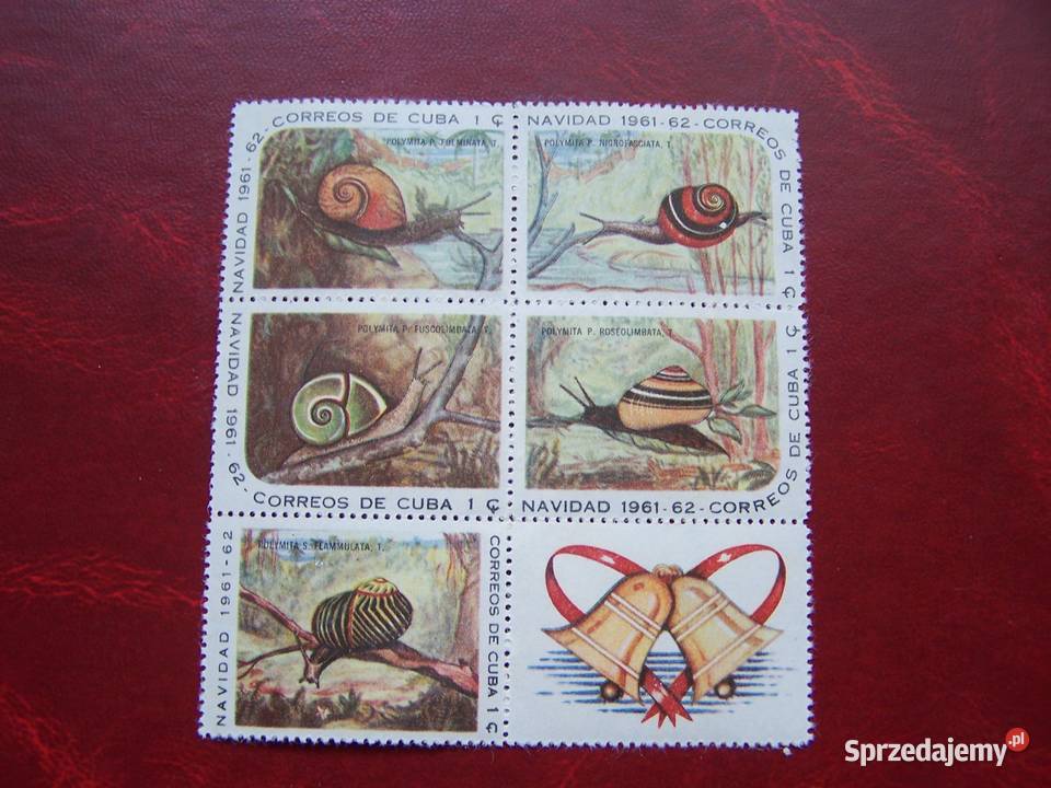 Kuba 1961 MNH Mi 73135 Fauna Ślimaki Muszle Tychy