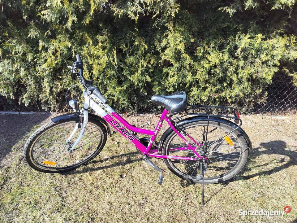 Rower Luna Lizard 26