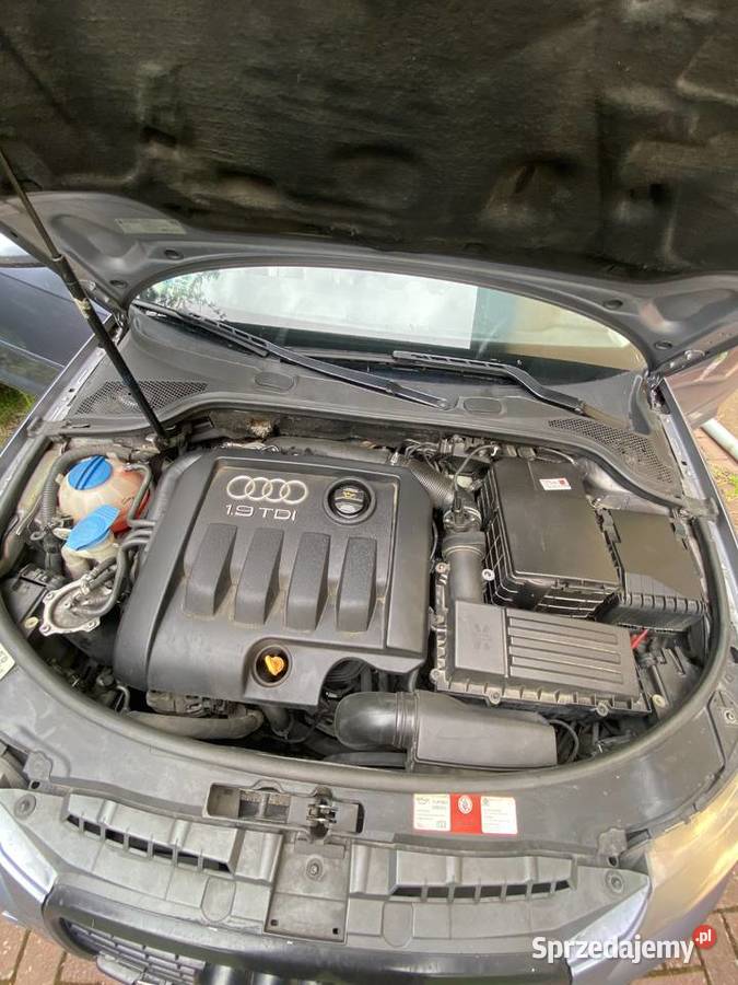 Audi a3 8p 2005 19tdi nieuszkodzony A3 Olsztyn