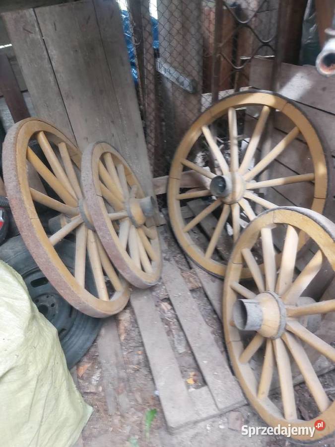 Kola do bryczki konnej Augustów