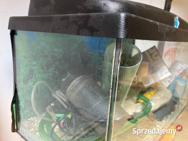Sprzedam Akwarium mazowieckie Jabłonna