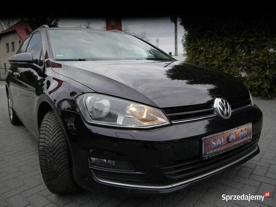 Volkswagen Golf 14b Stan b Navi 100bezwypadkowy elektrochrom. lusterka boczne Golf śląskie Częstochowa