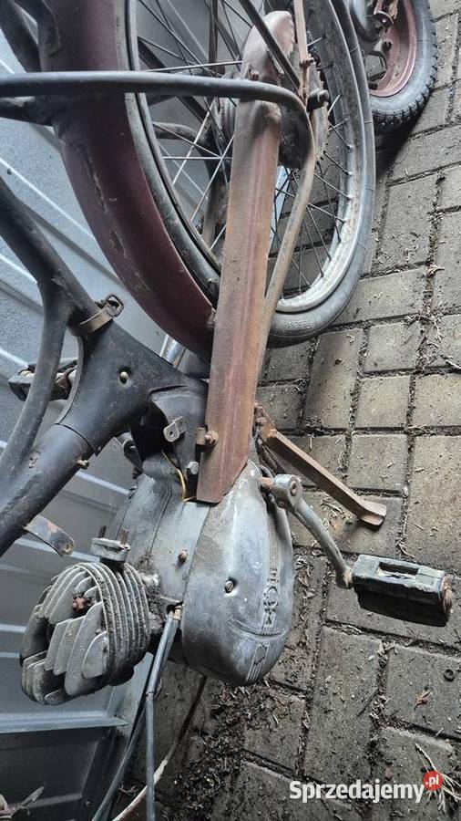 Komar sztywniak zarejestrowany uszkodzony