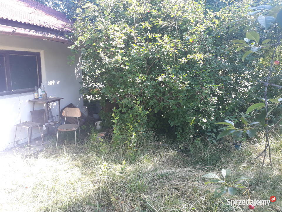 Działka ROD Wodnik Obornicka Różanka Wrocław rekreacyjna dolnośląskie sprzedam