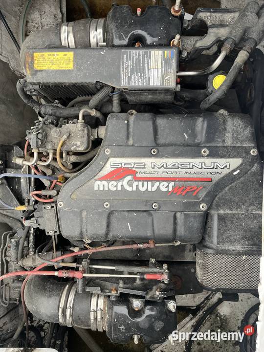 Motorówka 82 L V8 MAGNUM 502 MPI Żeglarstwo Szczecin