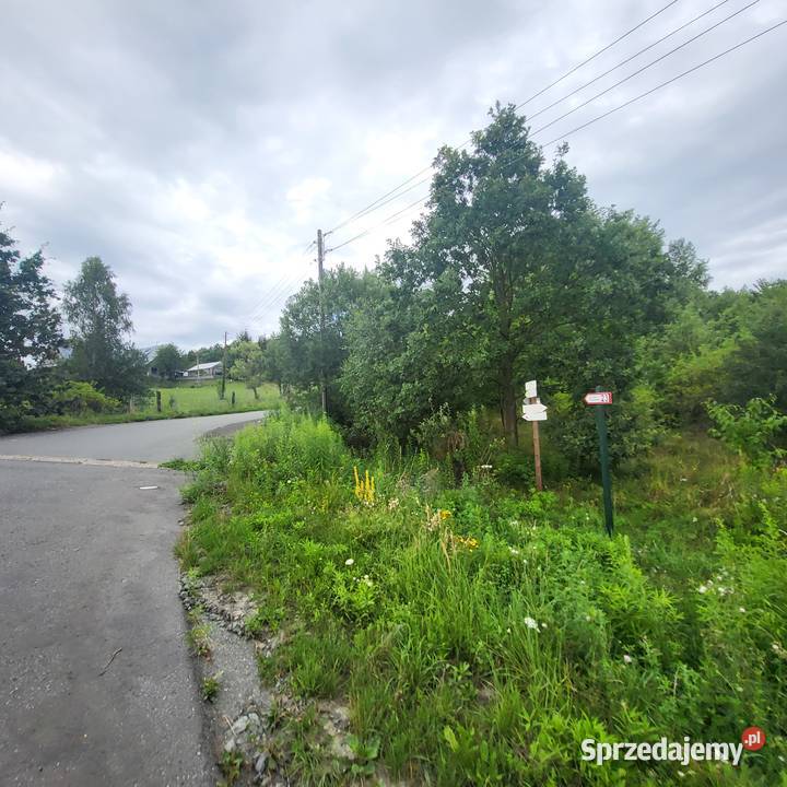 Działka niezabudowa Jaszkówka gm Kłodzko