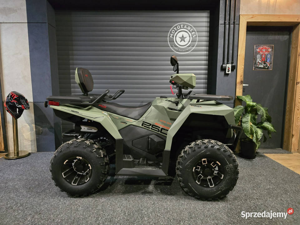 ASIX Inny Asix Cyber 300 HIT NA 2026 4x4 gigant Motocykle, skutery, quady Bicz sprzedam