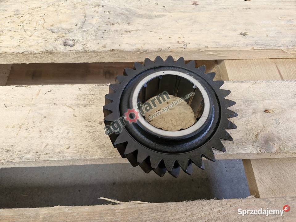 Koło zębate Massey Ferguson 8210 8220 8240 8250 dolnośląskie Byków