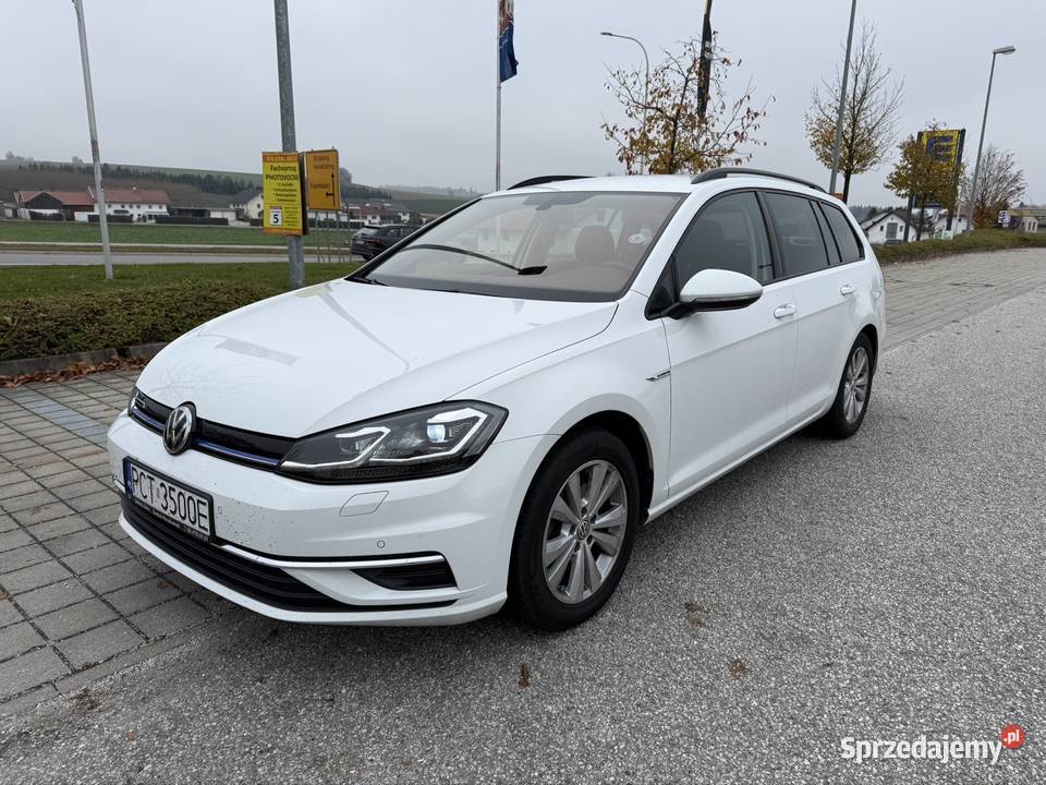 Vw Golf 7 15 Tsi 130 ACT Bluemotion wielkopolskie Czarnków