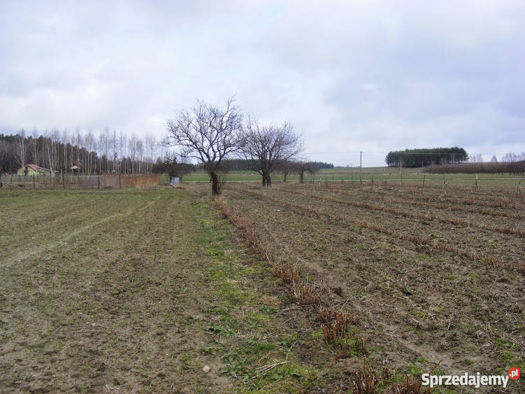Działka siedliskowa Strzembowo 35 ha Strzembowo