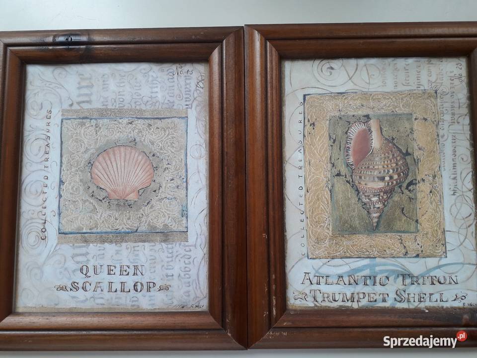 Obraz Shelly Hely Malarstwo