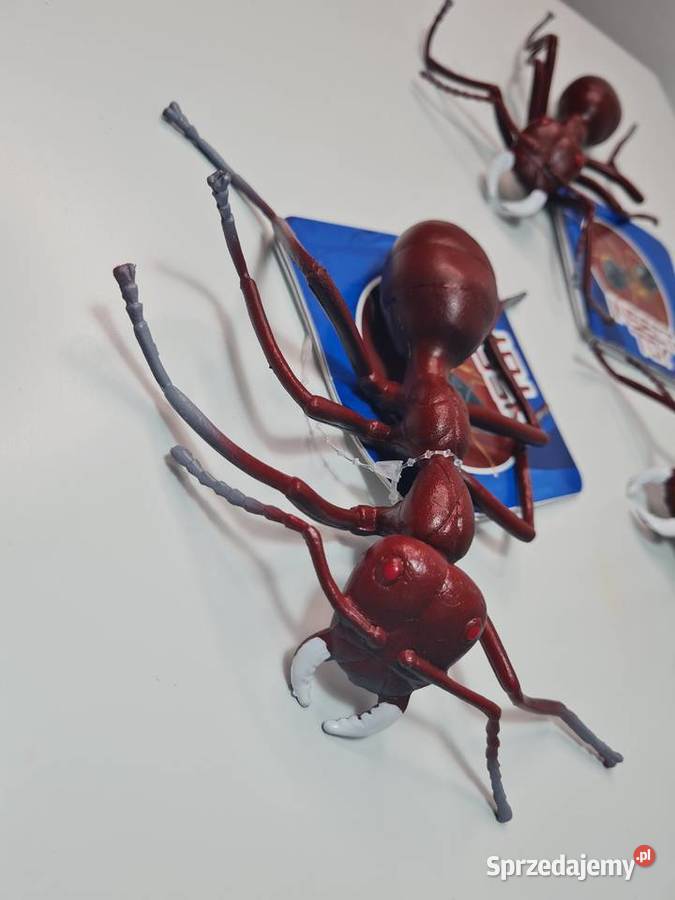 Insect toy mrówka 12 małopolskie Krasne-Lasocice sprzedam
