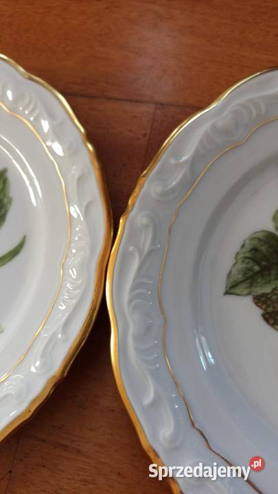 Przepiękne ręcznie malowane owoce na białej pomorskie Gdańsk