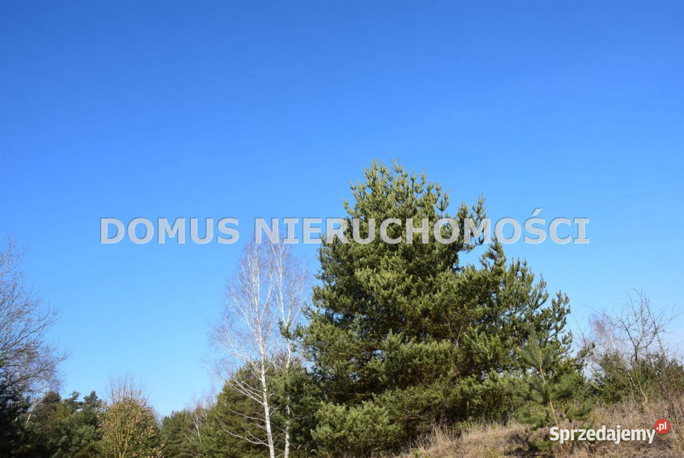 Grunt sprzedam Tworzyjanki 8000m2