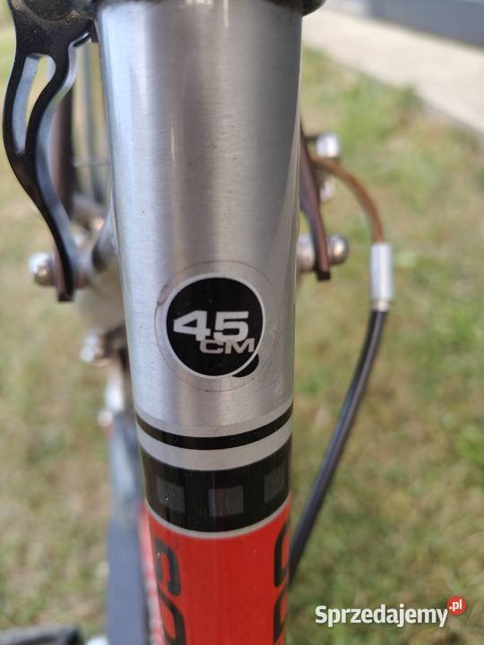 Rower aluminiowy Pegasus 7 biegów NEXUS łódzkie sprzedam