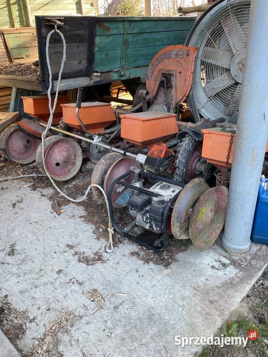 Siewnik do kukurydzy Siewniki i sadzarki Siewniki i sadzarki sprzedam