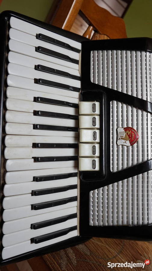 Akordeon Muza 80 bas