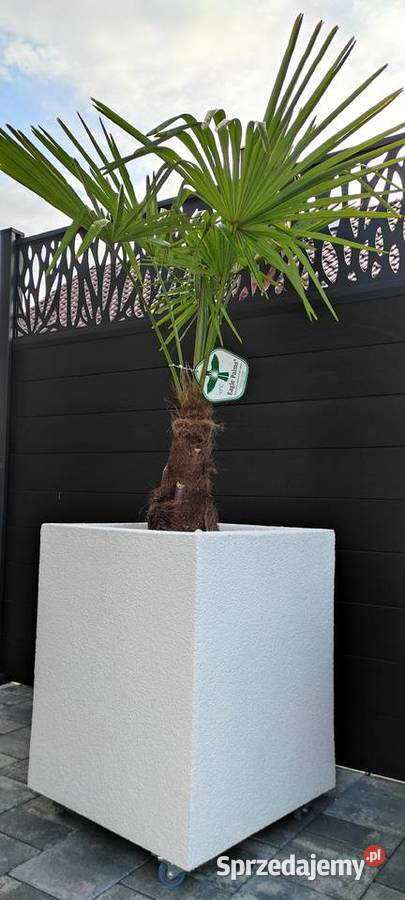 Termo Donice na wymiar Pozostałe Ozimek sprzedam